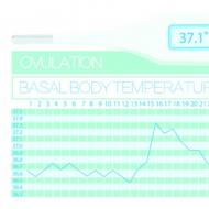 График базальной температуры при беременности, нормальном и патологическом менструальном цикле